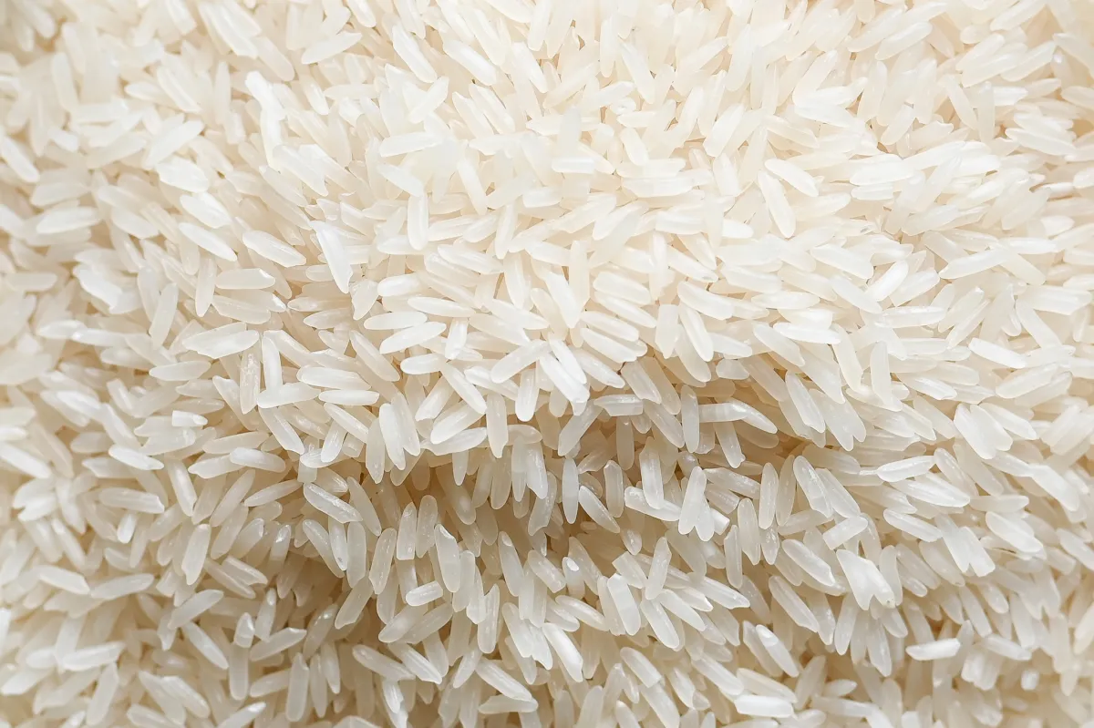 jasmine-rice